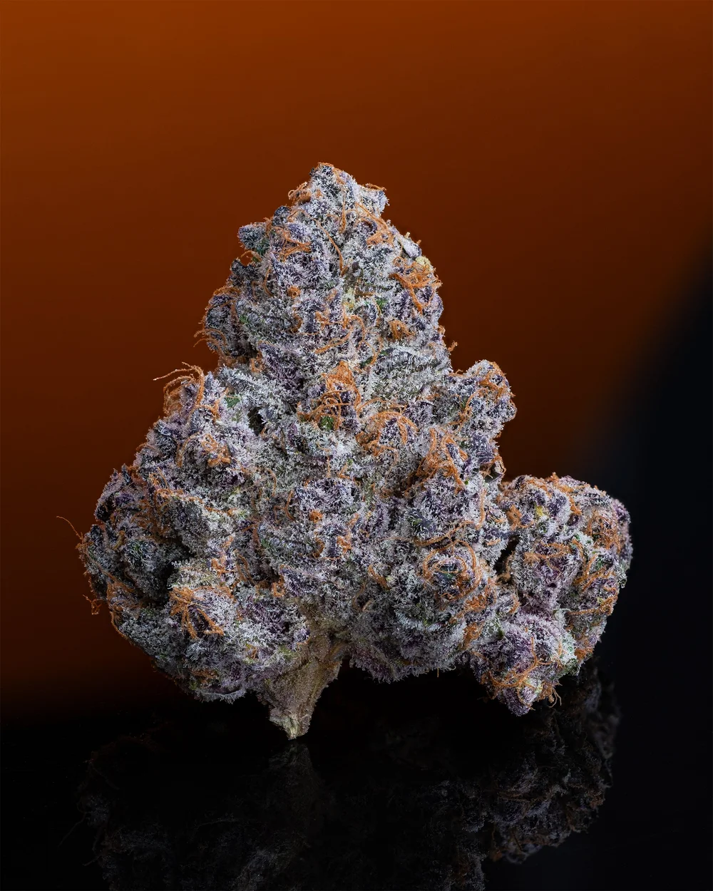 Super Boof - Breeder's Cut